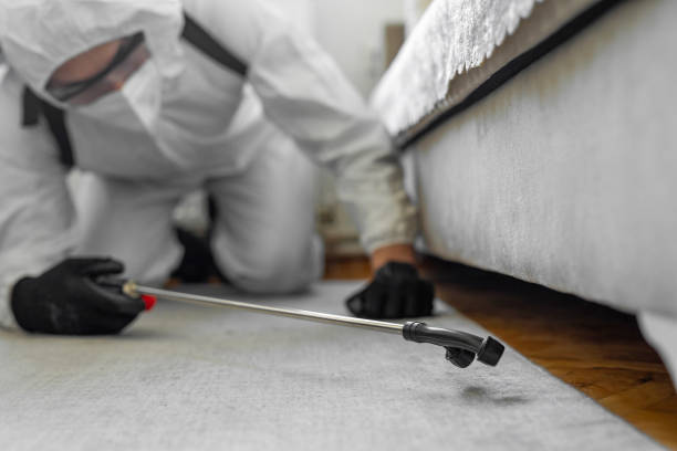 Professional Bed Bug Control technician working in Tallahatchie County County, MS